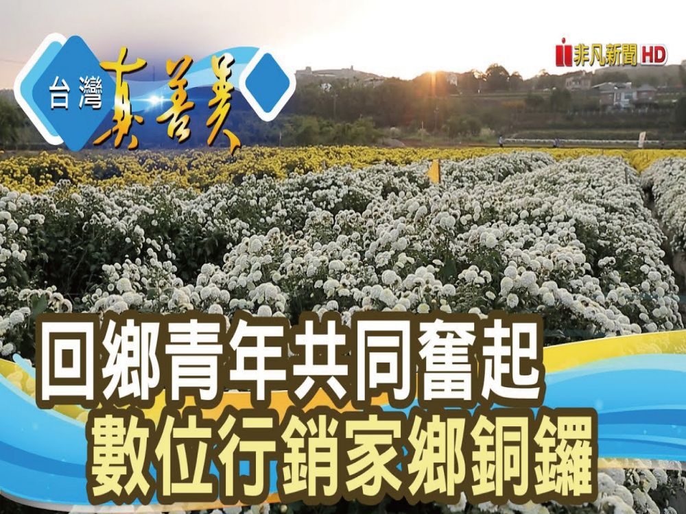 【台灣真善美】在地青年“敲響銅鑼”｜花現石虎‧菊響銅鑼｜